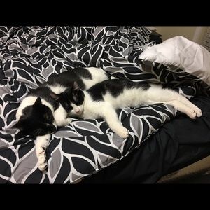 Meet your Posher, Christina